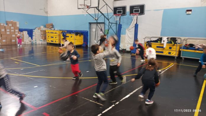 IMG_20231122_131912Scuola Basket Meomartini