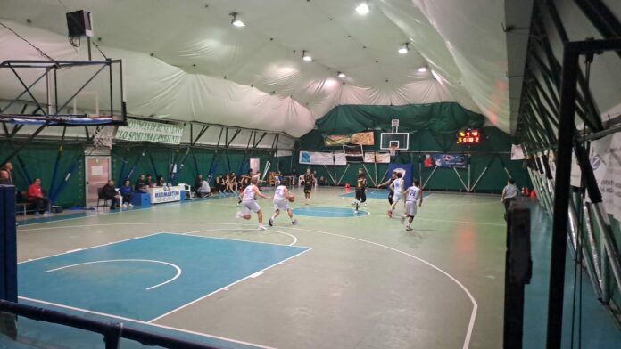 Meomartini basket