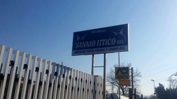 SANNIO ITTICO