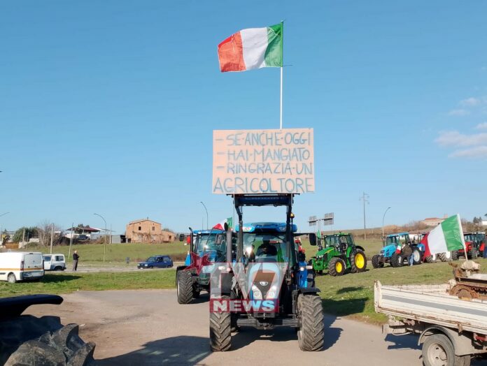 TRATTORI PROTESTA 10