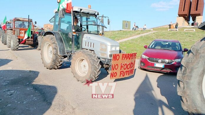 TRATTORI PROTESTA 16