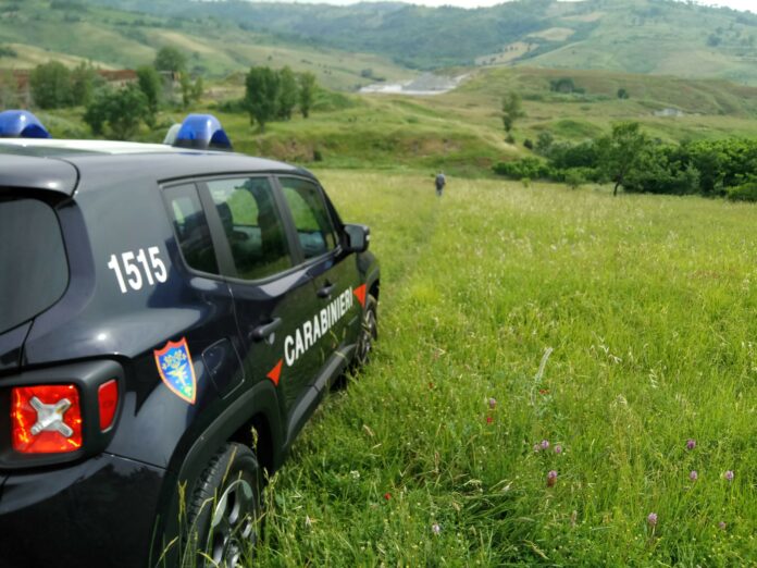 CARABINIERI FORESTALI