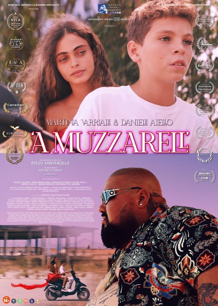 POSTER_AMUZZARELL_LOW_FIN