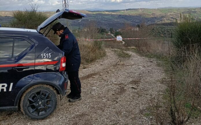 carabinieri forestale