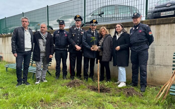 ALBERO FALCONE INDUSTRIALE