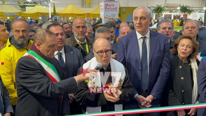 CAMPANIA ALLEVA 13
