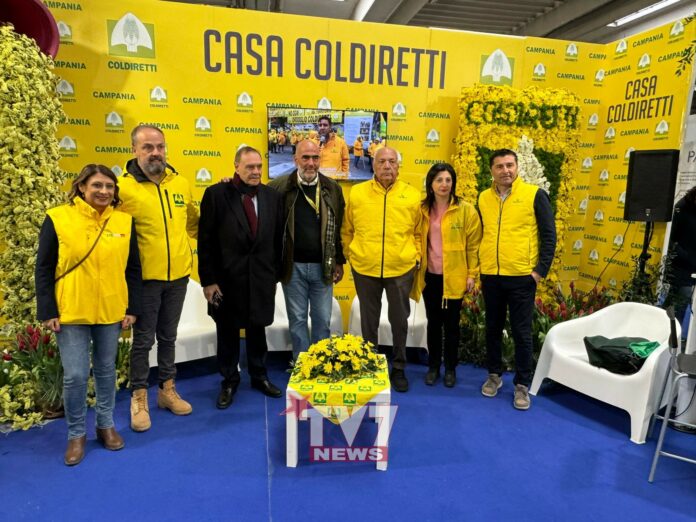 CAMPANIA ALLEVA 2