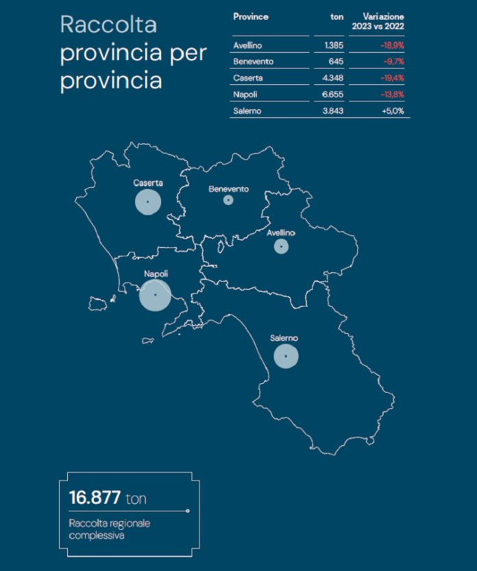 RAEE complessivi campania