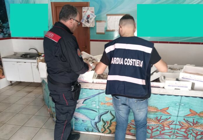 Sequestro prodotti ittici 2