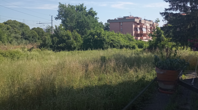 Via Capasso Torre Schermata 2024-05-24 alle 09.23.41