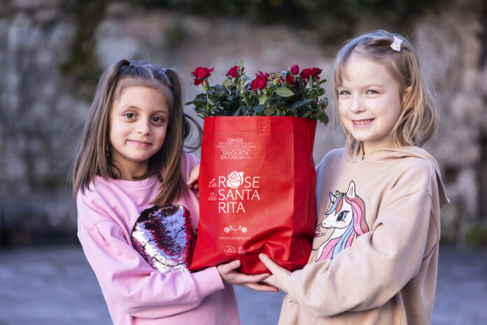 minori_alveare_con_rose