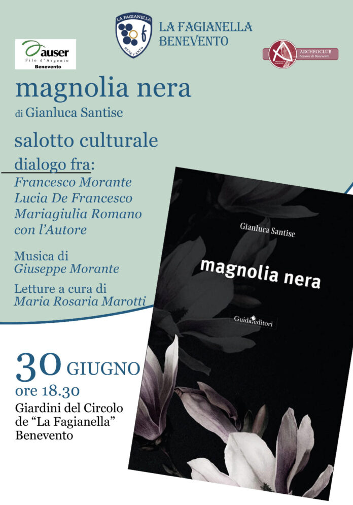 Magnolia nera