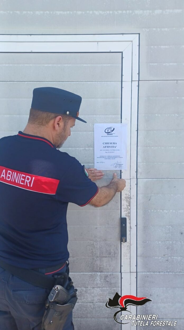 Carabinieri Forestale