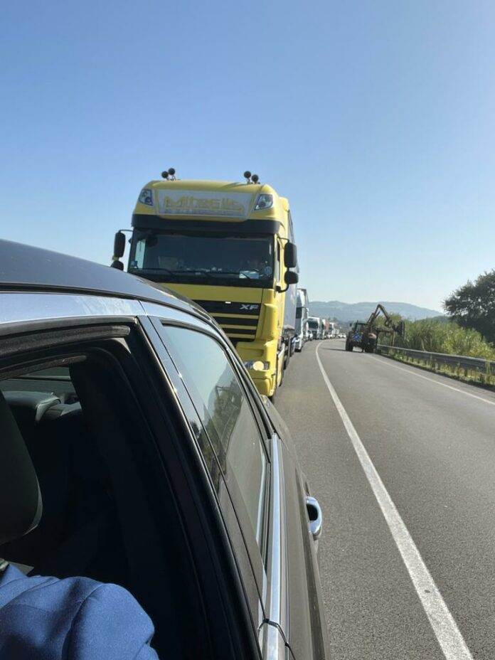 CAIANELLO TRAFFICO