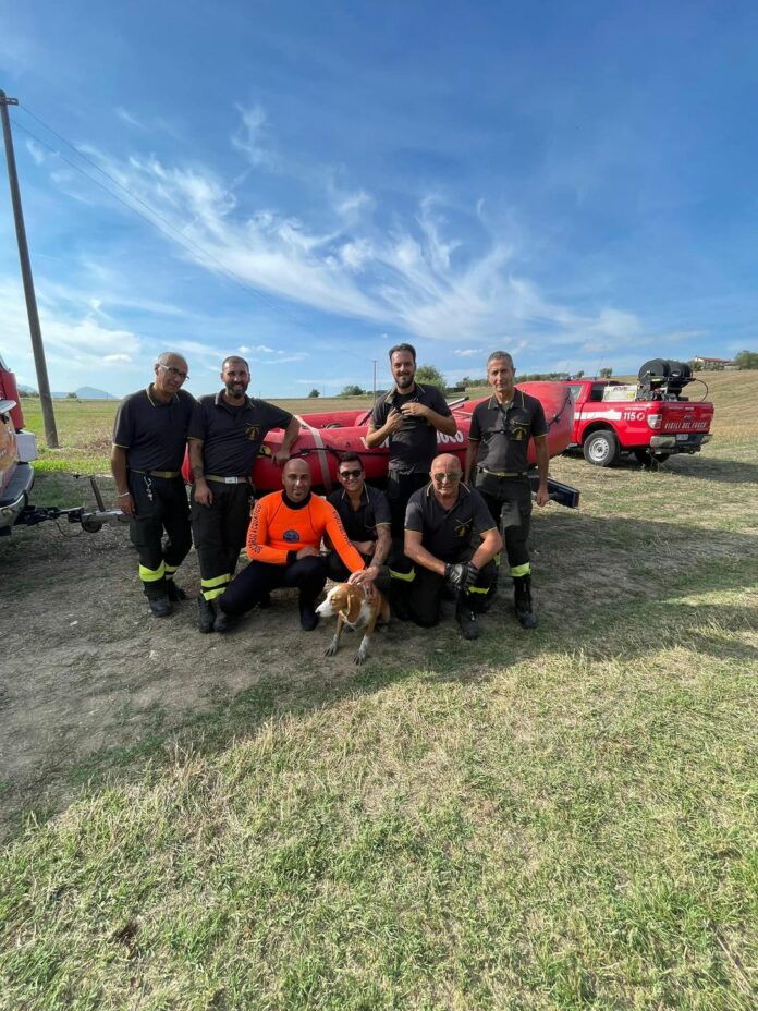 Vigili del fuoco cane