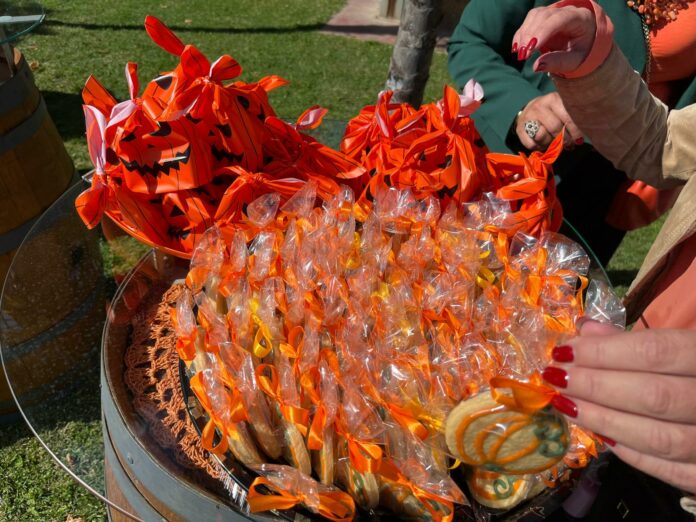 Il Giardino delle Zucche1728831595147