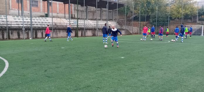 Calvi calcioa 5