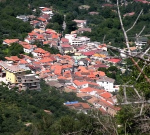 FORCHIA