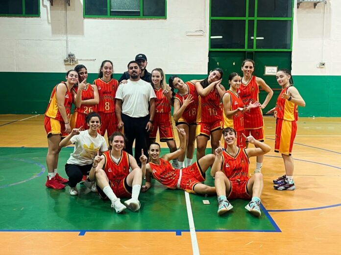 SAMNIUM BASKET