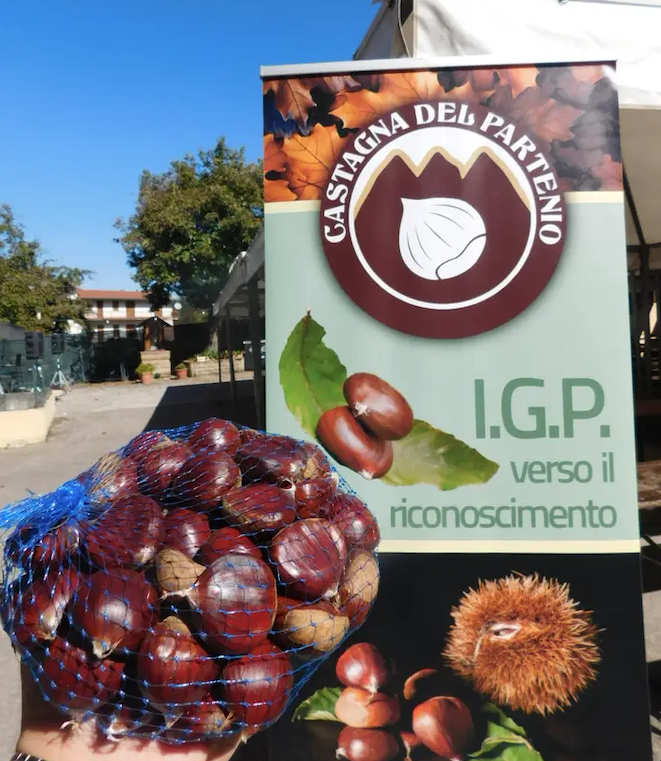 Sagra Castagna Schermata 2024-10-16 alle 09.42.48