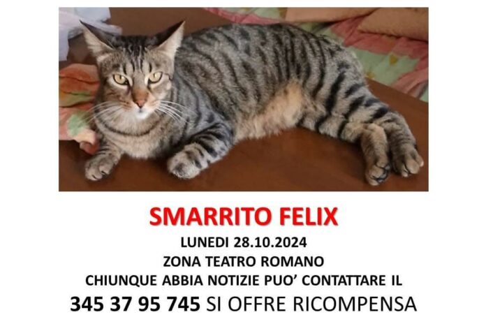 GATTO