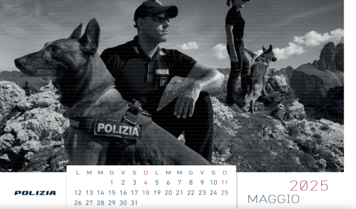 Schermata 2024-11-07 alle 17.53.03