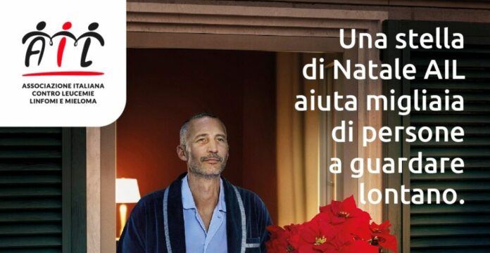 ail stella di natale