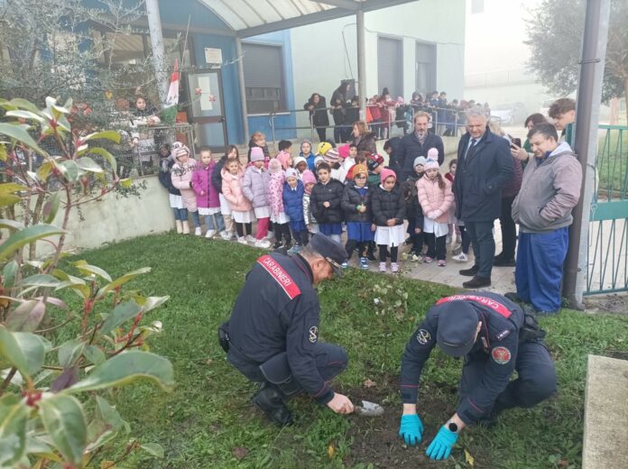 giornata albero cataudo