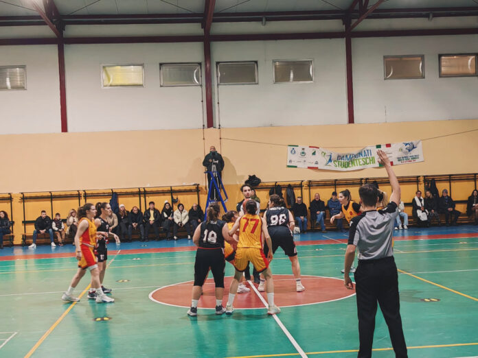BASKET RUMMO