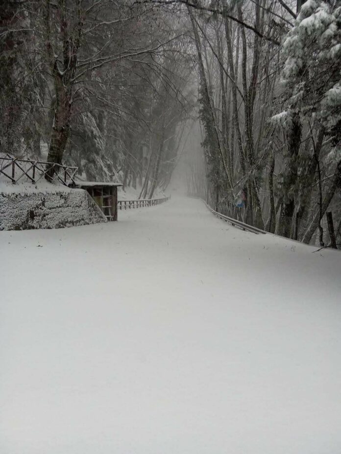 Neve nel Sannio 12-1-25 B-2