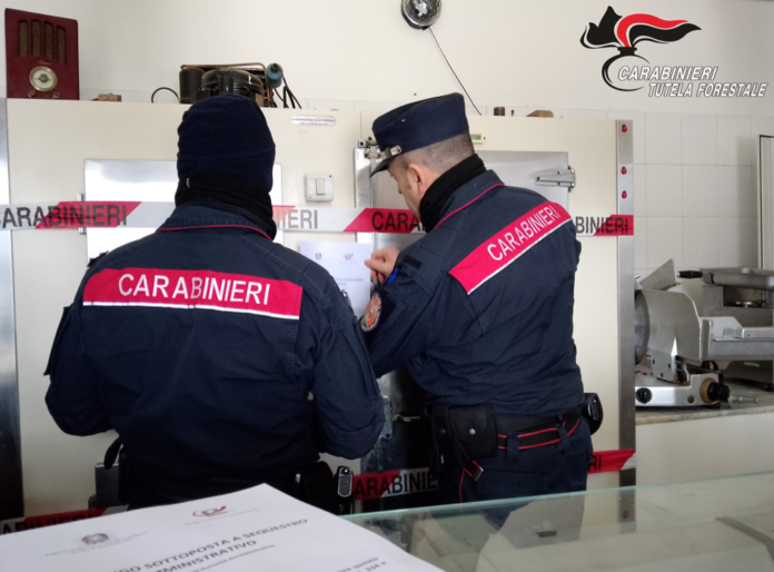 CARABINIERI FORESTALE