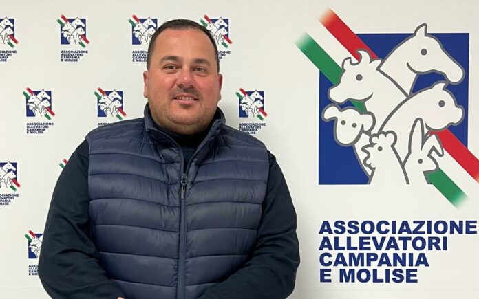 MINICOZZI 1