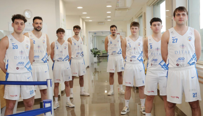 Basket Ditar