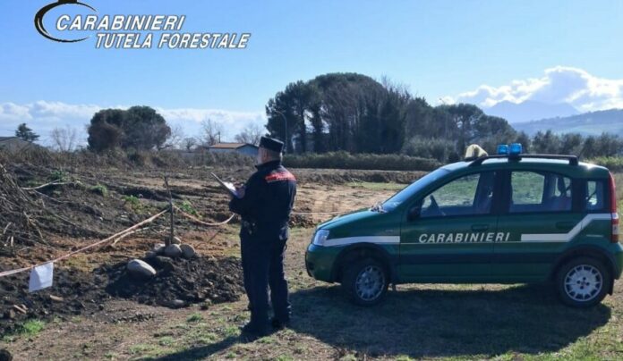 CARABINIERI FORESTALI