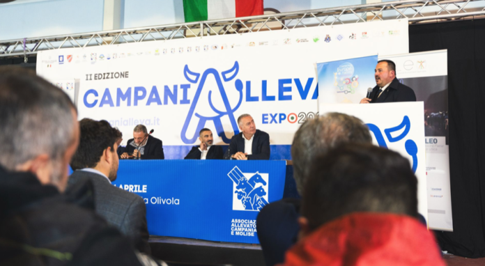 CampaniallevaSchermata 2025-04-29 alle 14.51.41