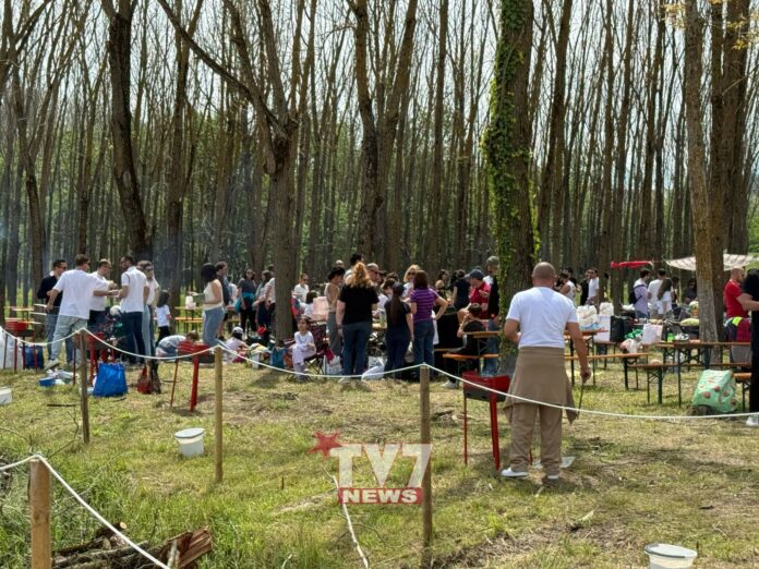 PARCO DE MITA PASQUETTA (24)