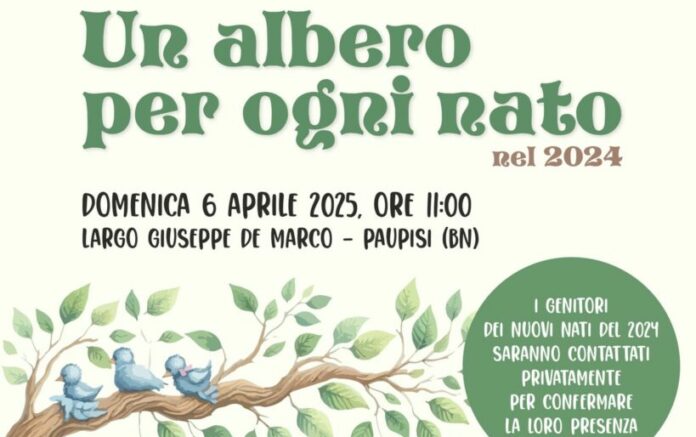 locandina albero nato
