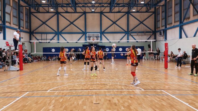 Accademia Volley
