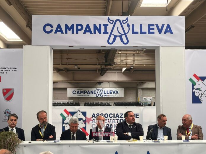 CAMPANIALLEVA PRESENTAZIONE 5