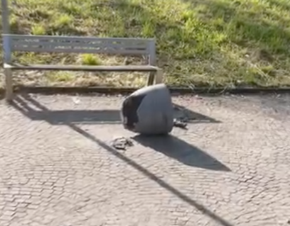 DANNI AL PARCO PACEVECCHIASchermata 2025-05-05 alle 09.44.49