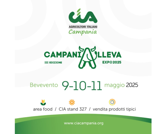 Schermata 2025-05-03 alle 08.45.54