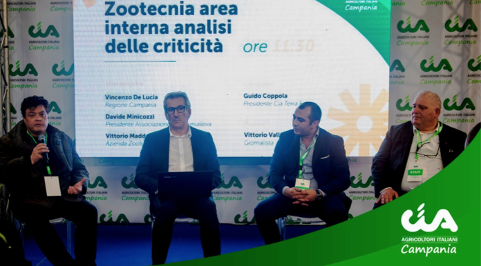 Schermata 2025-05-11 alle 18.53.47