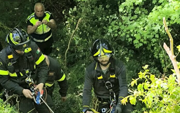 Vigili del fuoco salvataggio