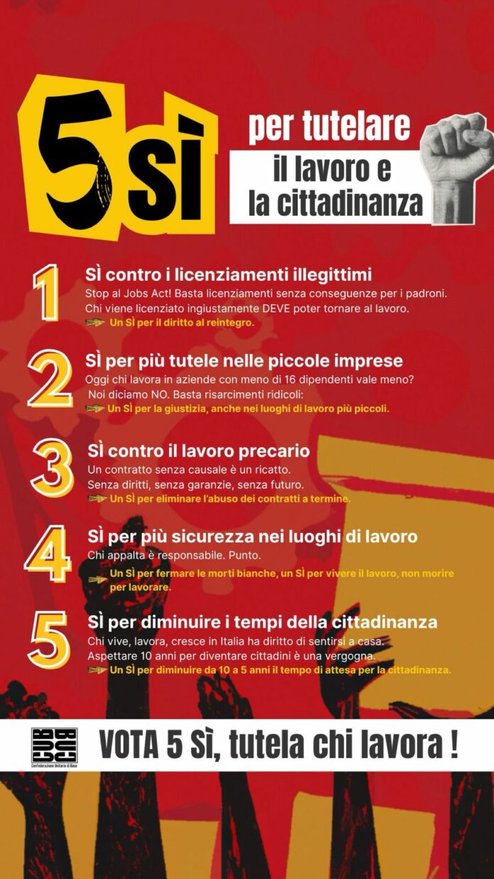 cub referendum