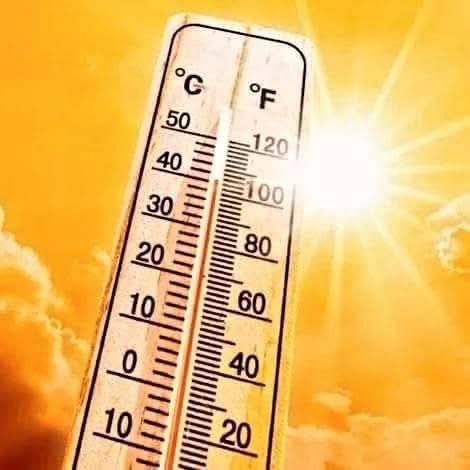 Caldo