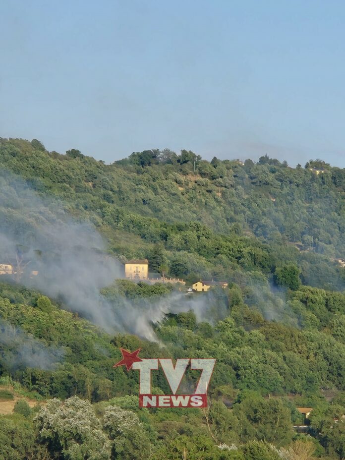 INCENDIO (14)