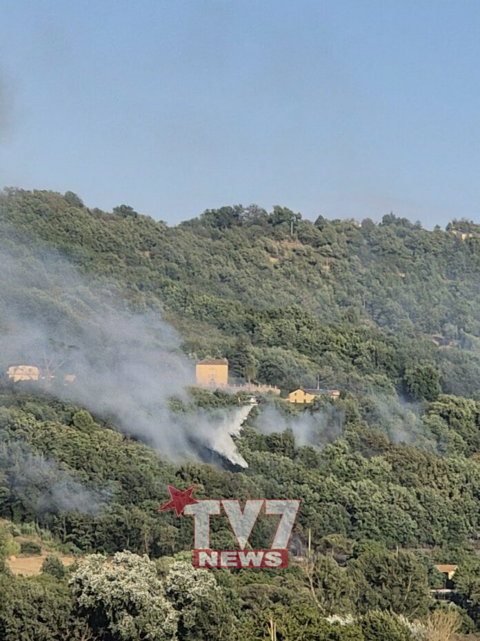 INCENDIO (5)