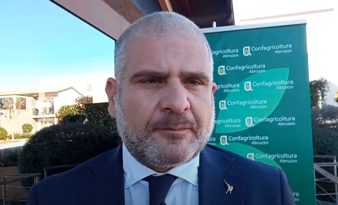 LUIGI D'ERAMO