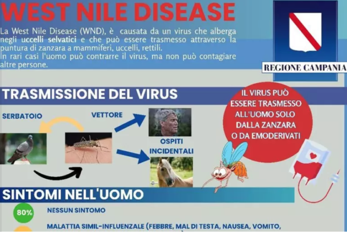 WEST NILE