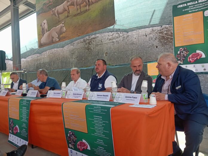 CONVEGNO CARNE MARCHIGIANA 1